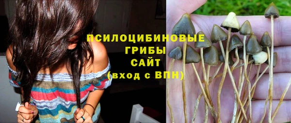молекула духа Новокубанск