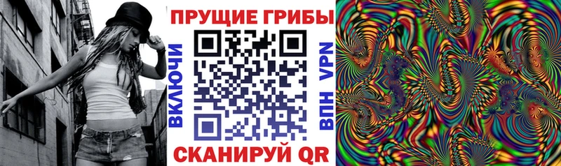 Псилоцибиновые грибы мицелий  блэк спрут вход  Сарапул 
